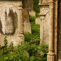 Ze židovského hřbitova