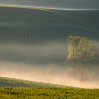 Krajina snů