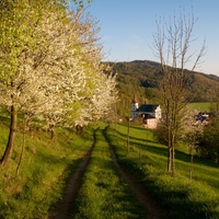 Cestičkou ke kostelíčku