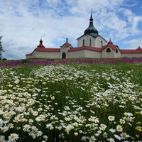 Rozkvetlá louka 