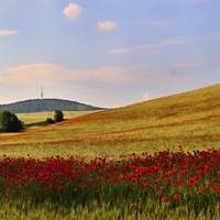 Stražovják