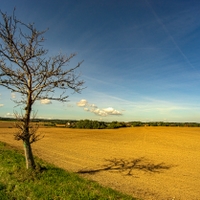 Z Vysočiny