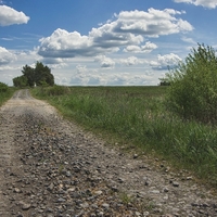 Polňačka