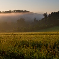 Za úsvitu