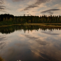 Šumava