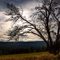 Šumava