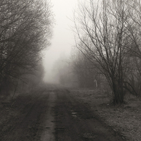 cesta do Silent hill