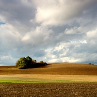 Vysočina u Skřivánku