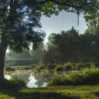 Ráno u řeky Dyje