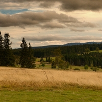 Šumava