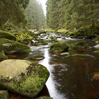 Šumava-Vydra