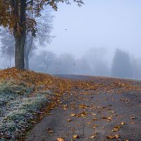 Podzim na Jedlině