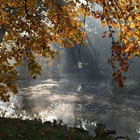 Ranní park