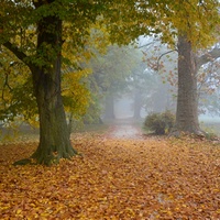 Šustivý koberec