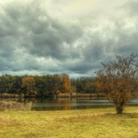 Podzim u Františkova rybníčku