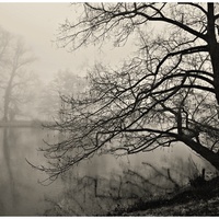 Mlha na rybníku