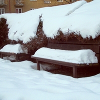 Ladovská zima 2010 III.