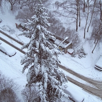 Ladovská zima 2010 IV.