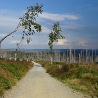  Šumava po řádění orkánu Kyrill