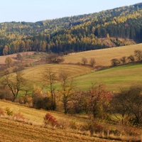 Louky a políčka