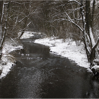 Botič