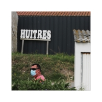 huitres