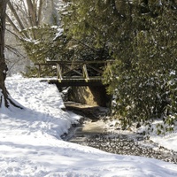 Průhonický park