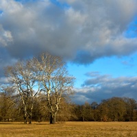 Předjaří