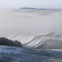 Krajina v mlze.