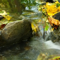 Potůček