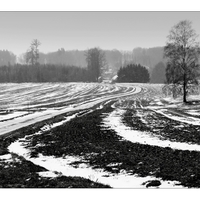 Zima se nevzdává !