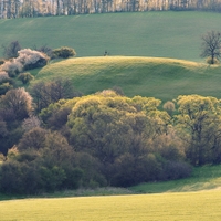 Jarné pasienky.