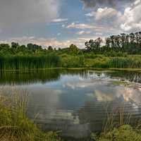 Lužní krajina