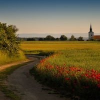 Kostel sv. Václava v Kostelci u Kyjova. 