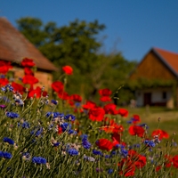 U Vlkošských bůd