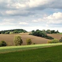 Vysočina u Okrouhličky