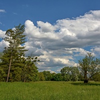 Letní krajina