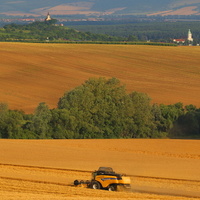 Žně u třech kostelů, Bzenec.