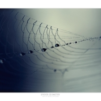 Spider geometry