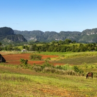 Údolí Viñales, Kuba