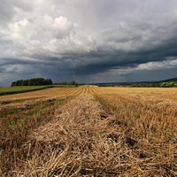 Před bouřkou