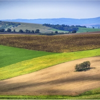 krajina u Šardic