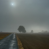 Mlha u Samotína