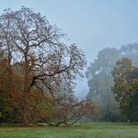 Ranní park