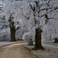 Park v krajkách