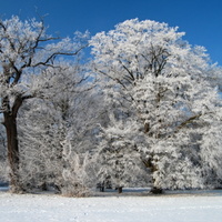 Ženich a nevěsta