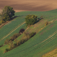 Hovoransko.