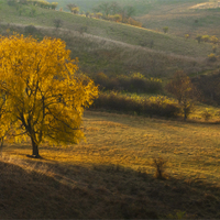 Podzimní.