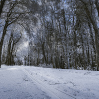 Ľadová krajina 2.