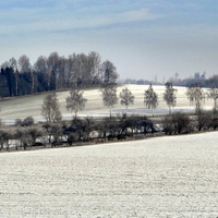 Vysočina u Knyku